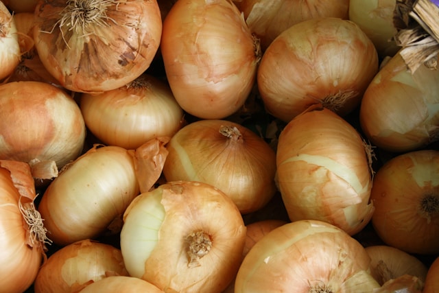 Ramen Ingredients: Toppings - Onions