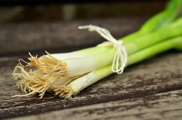 Ramen Ingredients: Toppings - Scallions