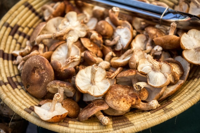 Ramen Ingredients: Toppings - Shiitake Mushrooms