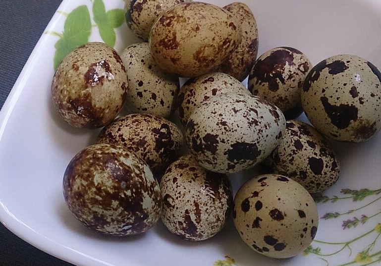 Ramen Toppings: Quail Eggs